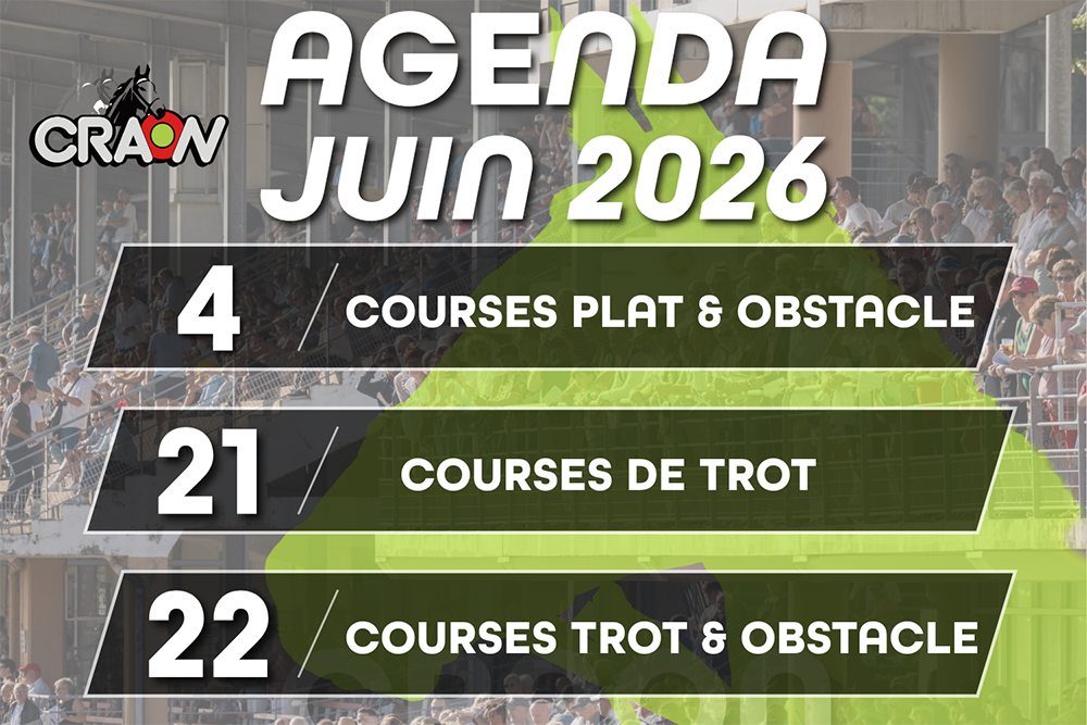 Agenda